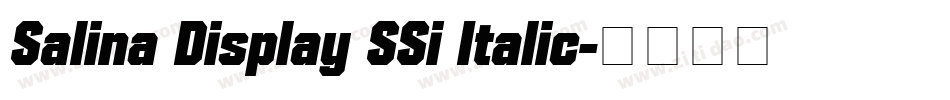 Salina Display SSi Italic字体转换